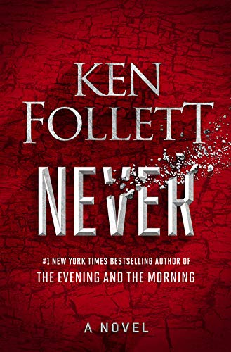 Never - Die letzte Entscheidung: Roman